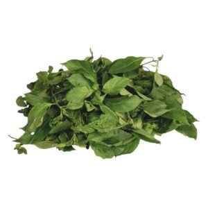 Scent Leaf Bunch