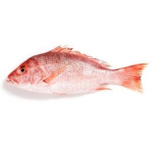 Red Bream Fish 1kg