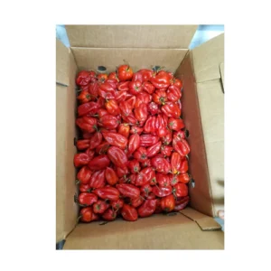 Fresh Scotch Bonnet Pepper (Rodo) Full Box
