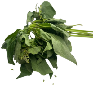 Wakye Leaf Bunch