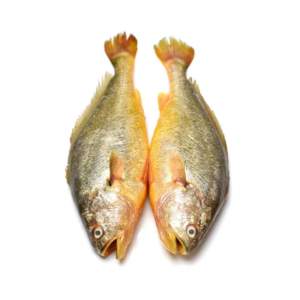 Croaker fish 2.5kg bag